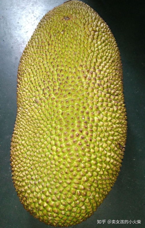 菠萝蜜种子怎么种？种植方法有哪些
