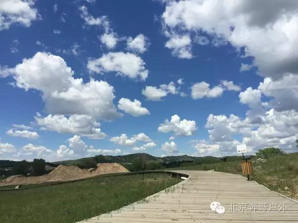 美丽绽放， 期待相遇