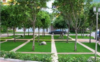 上门绿化养护费用与植物类型的关系