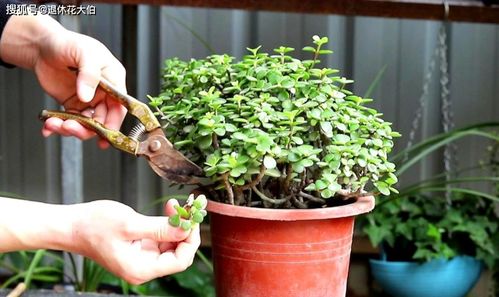 手把手教你， 手串制作视频教程大揭秘