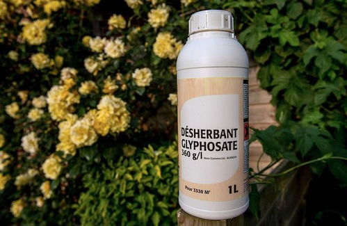 药害症状，kan仔细了