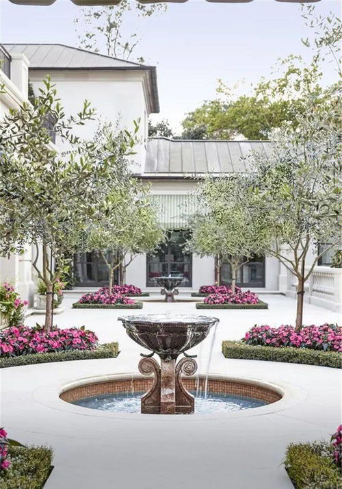 简单易养的小乔木花卉推荐