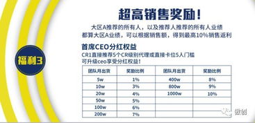 茶油君代理价格表一览，如何加入我们成为合作伙伴？