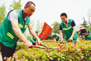 定期修剪，保持整洁