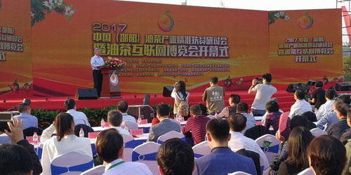 邵阳县茶油加盟政策揭秘：如何轻松成为茶叶代理？