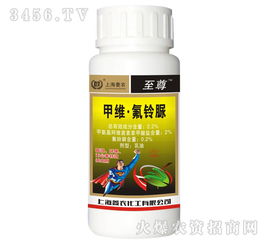 十字花科作物：小心白斑出现