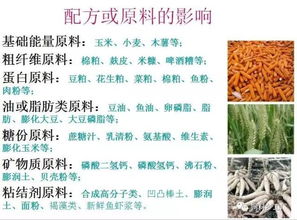 饲料耐久性影响因素有哪些？颗粒质量提升技巧和防霉变保存指南分别是什么？