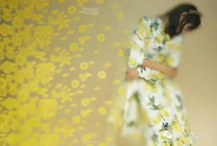 摄影作品的美感提升