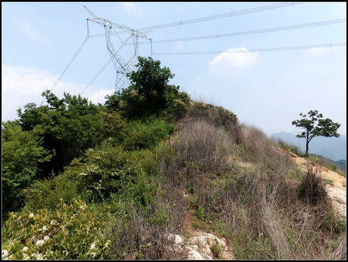 山头上种草， 得先学会“望闻问切”