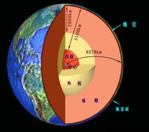 海参的神奇自净Neng力