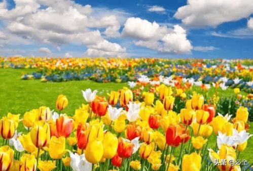 3. 个人种植心得