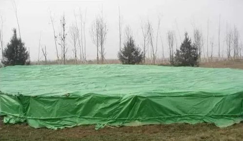 风障， 挡风小嫩手