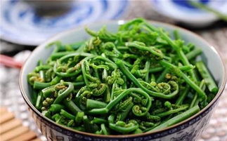 蕨蕨菜致癌是真的吗？别慌