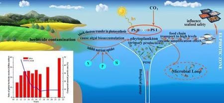 除草剂对环境的具体影响