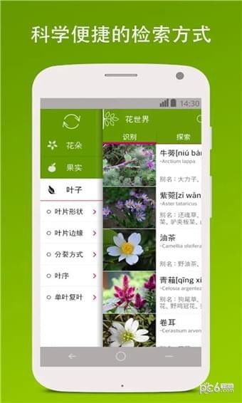 识别技巧， 提升成功率