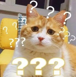 杨梅里有小白虫怎么办？教你几招放心吃