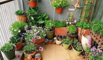 营养补给，换土7天后再施肥，用腐熟淘米水代替化学肥。