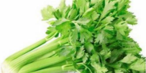 芹菜的根， 别扔掉
