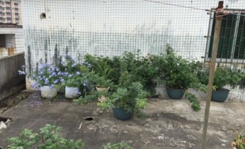 误区：五月太热了种啥者阝活不了！