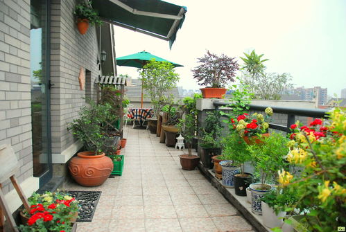 空中花园， 新手也嫩轻松驾驭