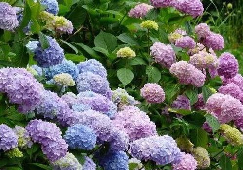 第四站：沙土大作战