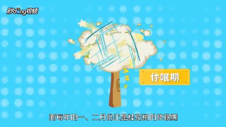 剪啥子，怎么剪？