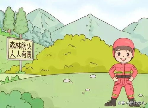 光头强的林间守护之旅