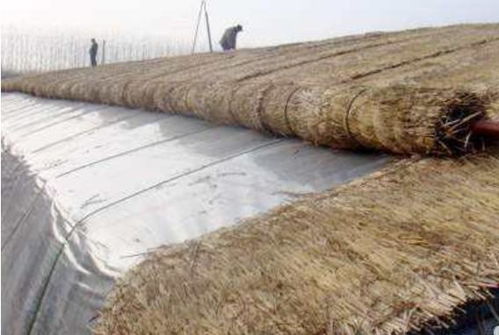 简易棚的保护伞