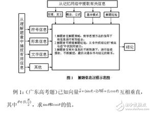 揭秘猪砂形成之谜：科学原理解析