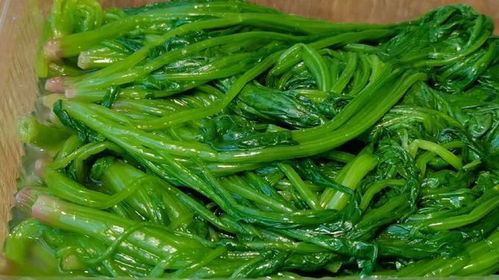 18. 而像芸豆、 黄瓜、西红柿、芹菜、丝瓜、佛手瓜等也是农村菜地里常见的蔬菜