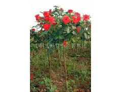 到场检验， 一堪二闻三动手