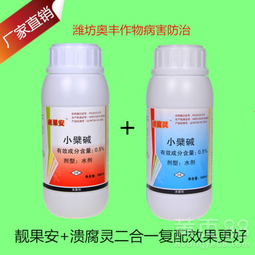 柑橘溃疡病防治那些事儿