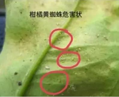 防治错误与解决方案