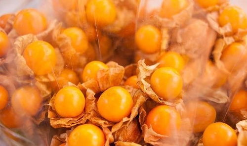 黄姑娘果一天吃几个最适宜？了解其功效与食用建议