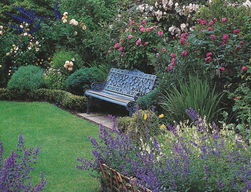 湿地园林设计师之谜