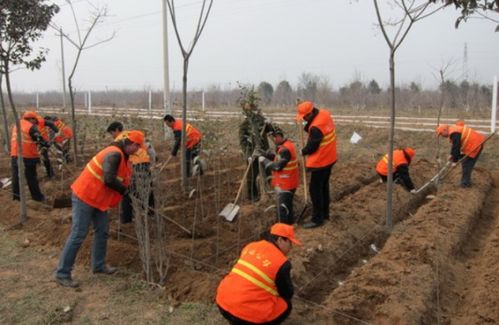 二、生长环境的怪怪影响