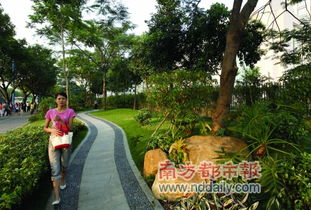 居民意见不一， 绿化带成争议之地