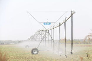 浇灌、浇洒、浇注：选择哪种方式呢？