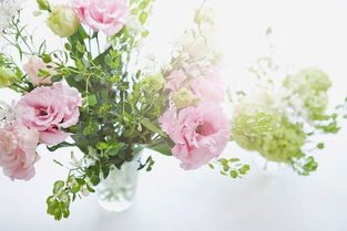 避免阳光直射， 温度要适宜