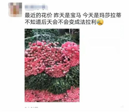 斗南花市康乃馨，如何挑选出最完美的那一朵