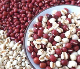 红小豆种子挑选：剔除病斑、虫蛀、破损及杂质