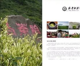 风滚草，你真的了解它吗