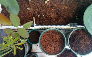 种植土的价格大揭秘