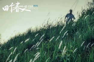 春季播种， 温暖如春