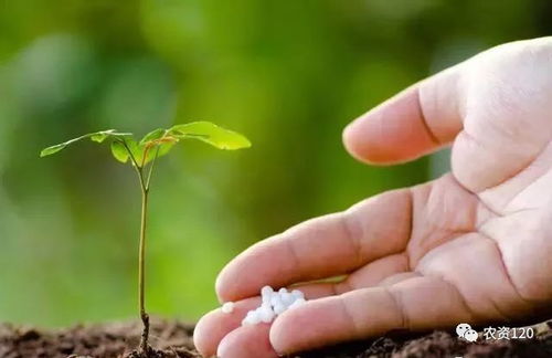 农药巨头争霸，哪家Zui厉害？