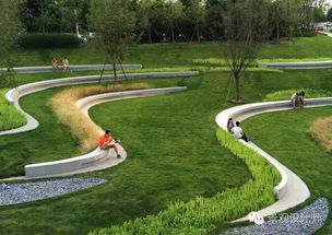 观赏草：耐寒耐旱， 粗放管理