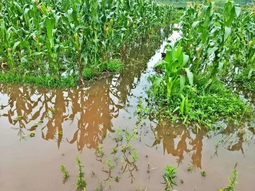 南北差异下的操作密码