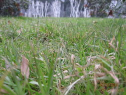 冬季种植的注意事项