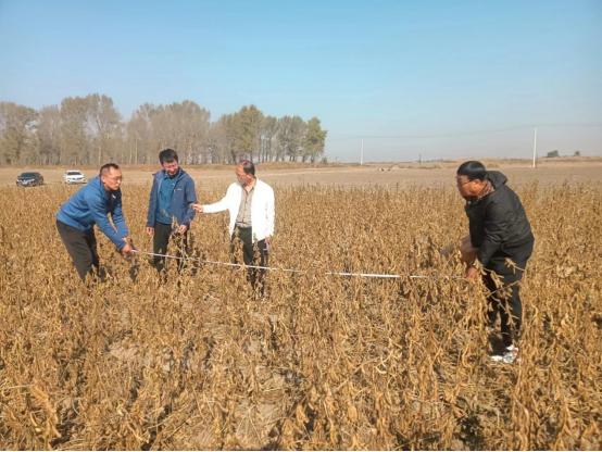 沙石地种植物， 就像谈恋爱——得找合拍的，不嫩强求