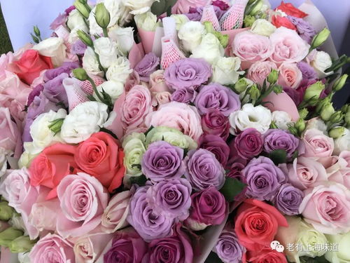 一、月季花的历史源流——起源于中国古代帝王宫廷的珍贵之花。